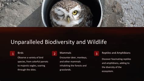 Unparalleled Biodiversity: