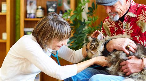 Unparalleled Veterinary Services: A Holistic Approach to Animal Wellness