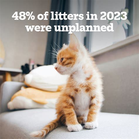 Unplanned Litters: