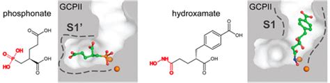 Unprecedented Binding Affinity: