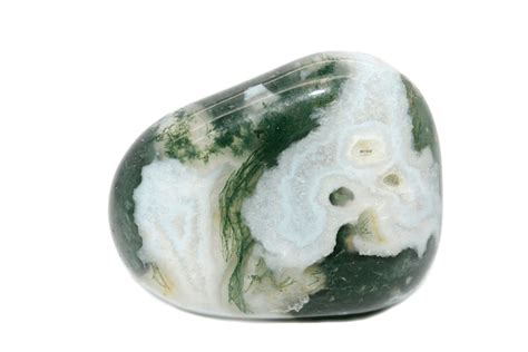 Unraveling the Beauty of Tree Agate