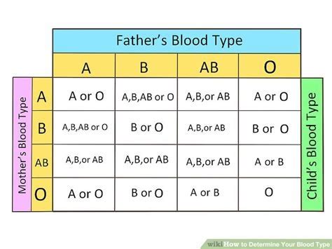 Unraveling the Blood Type Mystery: A Comprehensive Guide for Singaporeans