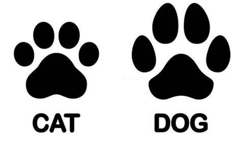 Unraveling the Distinctive Clues: Cat Paw Prints vs. Dog Paw Prints