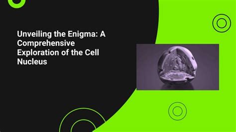 Unraveling the Enigma of Camcriesincum: A Comprehensive Exploration