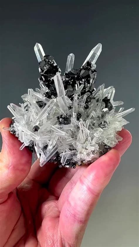 Unraveling the Genesis of Quartz with Calcite