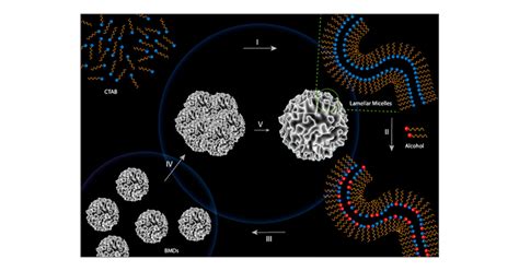 Unraveling the Mechanism