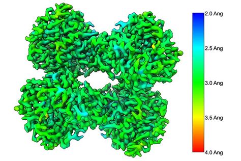 Unraveling the Molecular World: Research Excellence