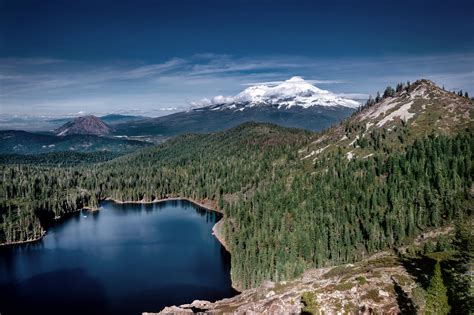 Unraveling the Secrets of the Siskiyou Grapevine: A Comprehensive Guide to Its History, Cultivation, and Impact