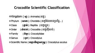 Unraveling the Systematic Enigma: Challenges and Advancements in Crocodile Taxonomy