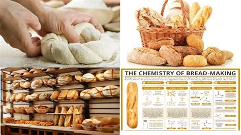 Unveil the Art of Artisan Bread Making: A Comprehensive Guide to Bread Making Classes in Singapore