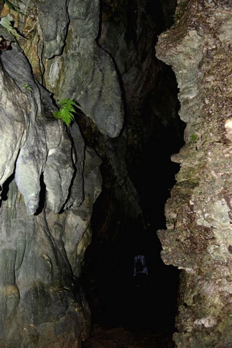 Unveil the Enchanting Limestone Caves of Andaman: A Journey into Nature's Majestic Heart