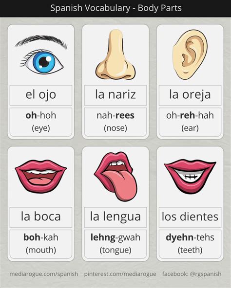 Unveil the Secrets: Enhancing Your Spanish Vocabulary with "Noses"