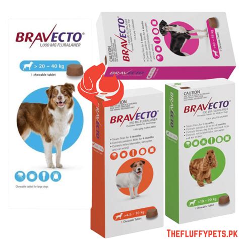 Unveiling Bravecto Chewable for Dogs