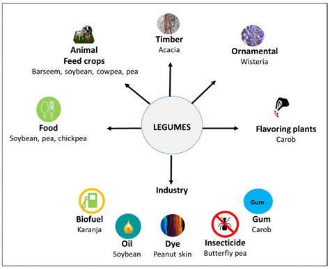 Unveiling Cammycaramilkk: A Comprehensive Guide to Nutrition, Health, and Culinary Delights