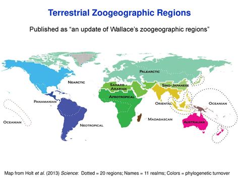 Unveiling Earth's Animal Kingdoms: A Dive into Zoogeographical Realms