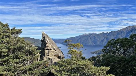 Unveiling Fiordland National Park's Natural Wonders