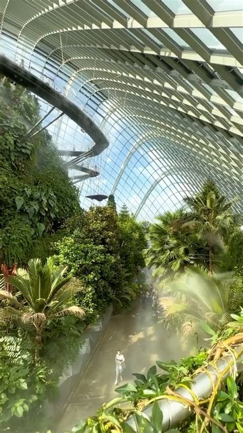 Unveiling Gardens by the Bay: A Botanical Marvel