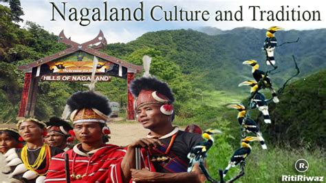 Unveiling Nagaland: A Land Steeped in Tradition with Surprising Stats