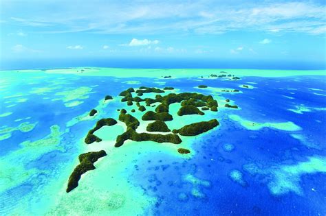 Unveiling Palau's Natural Treasures