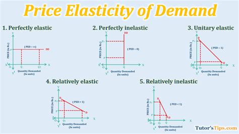 Unveiling Price Demand Elasticity