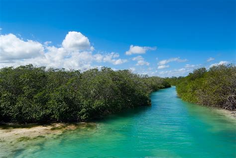 Unveiling Sian Ka'an's Captivating Biodiversity