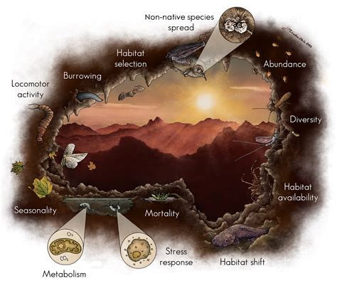 Unveiling Subterranean Ecosystems: