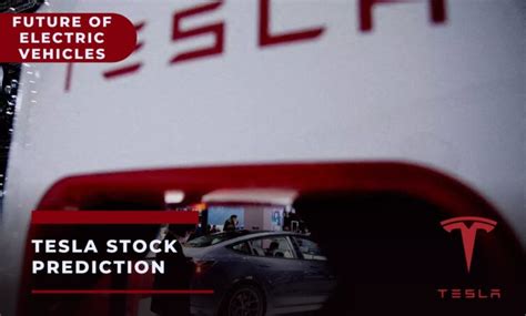 Unveiling Tesla's Stock Performance - A Visual Odyssey