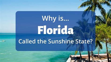 Unveiling UTMA Account Florida: Your Gateway to the Sunshine State's Data Trove