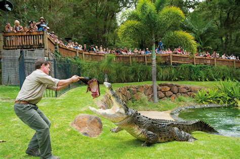 Unveiling World of Zoo: A Wildlife Sanctuary at Your Fingertips