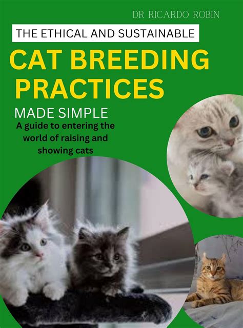 Unveiling the Allure of Bombay Cats: A Guide to Ethical Breeding Practices