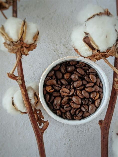 Unveiling the Allure of Coffee