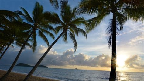 Unveiling the Allure of Palau: A Paradise Beyond Compare