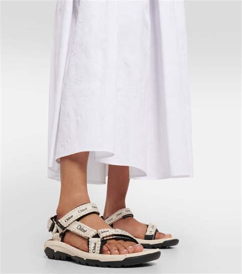 Unveiling the Appeal of Chloé Sandals