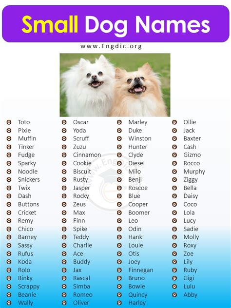 Unveiling the Art of Naming Your Canine Companion: A Comprehensive Guide to Great Dog Names