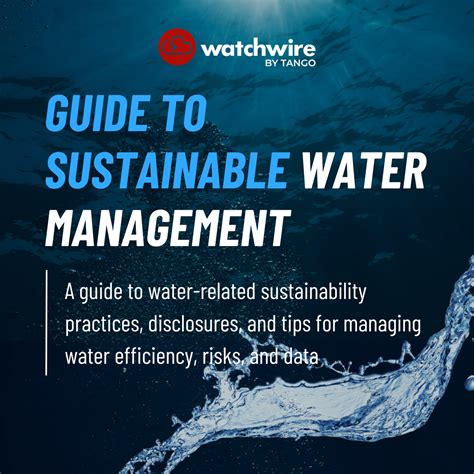 Unveiling the Austin Wells: A Comprehensive Guide to Sustainable Water Management