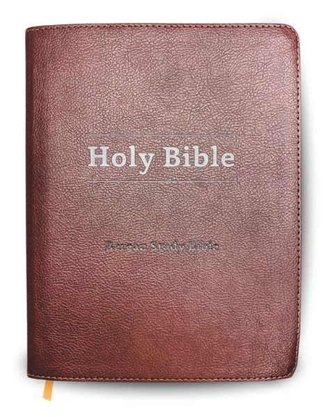 Unveiling the Berean Study Bible