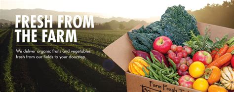 Unveiling the Bounty of Bender Farms: Fresh, Local Produce Delivered Straight to Your Door