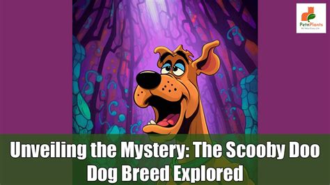 Unveiling the Breed Mystery