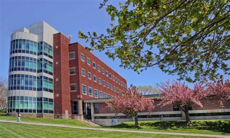 Unveiling the CSEN Ecosystem: A Hub of Academic Excellence