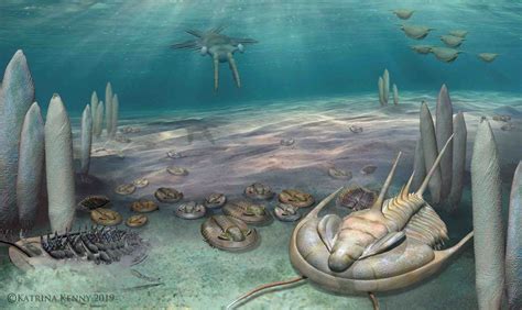 Unveiling the Cambrian Era: A Geological Tapestry of Life's Evolutionary Dawn