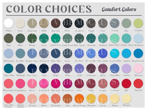 Unveiling the Comfort Colors Palette