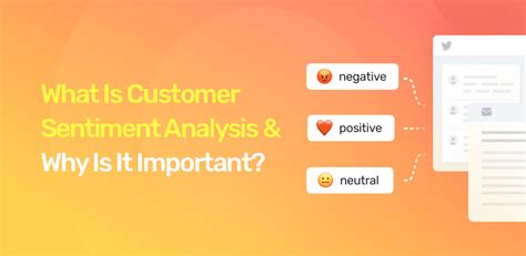 Unveiling the Customer Sentiment Landscape