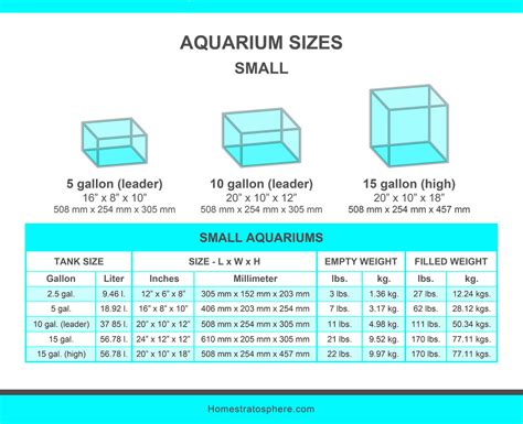 Unveiling the Dimensions of a 29-Gallon Tank: A Comprehensive Guide