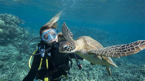 Unveiling the Dynamic World of Marine Biology Research