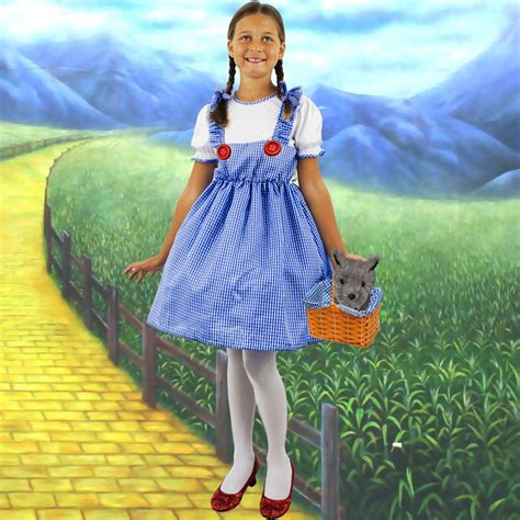 Unveiling the Elements of a Perfect Dorothy Costume