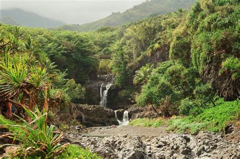 Unveiling the Enchanting Allure of Maui: A Comprehensive Guide to the Valley Isle