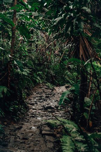 Unveiling the Enchanting Landscape of Puerto Rico