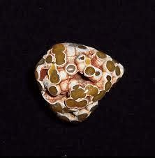 Unveiling the Enchanting Origins of Orbicular Ocean Jasper