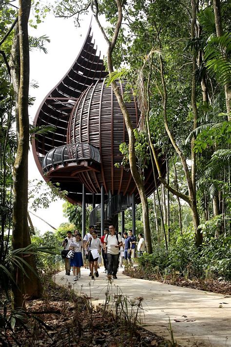 Unveiling the Enchanting Sungei Buloh Wetland: A Paradise for Nature Enthusiasts