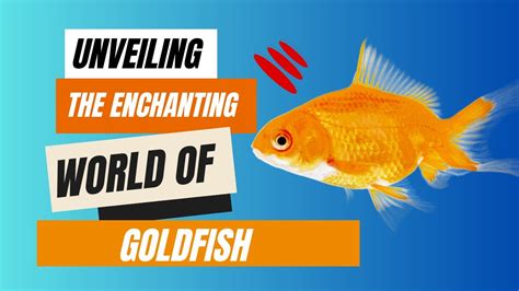 Unveiling the Enchanting World of Goldfish Slot Machines: A Comprehensive Guide